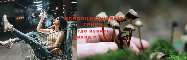 спиды Абинск