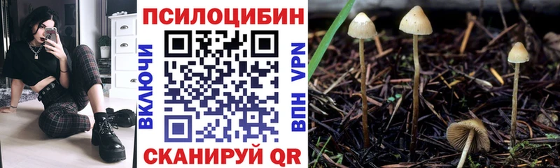 Псилоцибиновые грибы Magic Shrooms Питкяранта