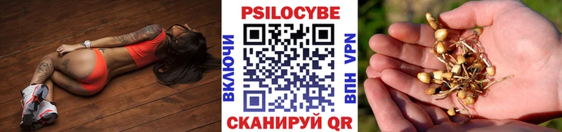 Галлюциногенные грибы MAGIC MUSHROOMS  Питкяранта 